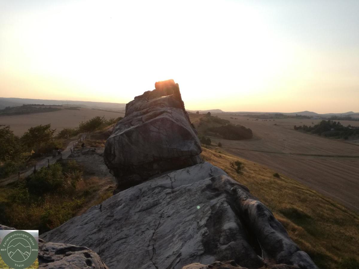 Ferienwohnung Kahlenberg Thale Exteriör bild